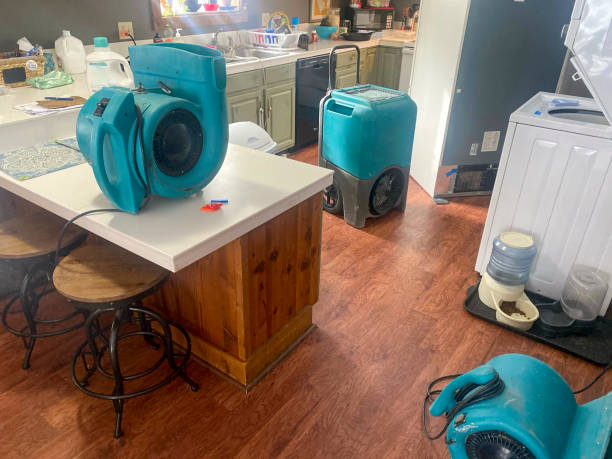 Best 24-hour water damage restoration  in Slater Marietta, SC