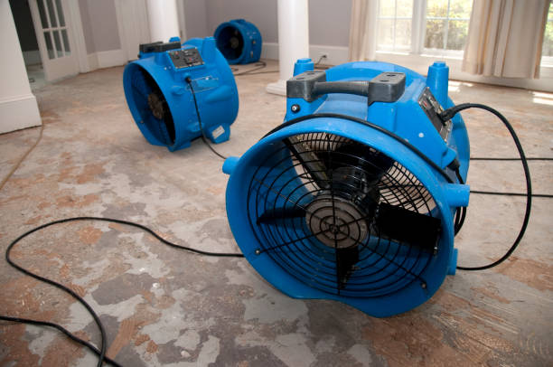 Best Flood damage cleanup  in Slater Marietta, SC