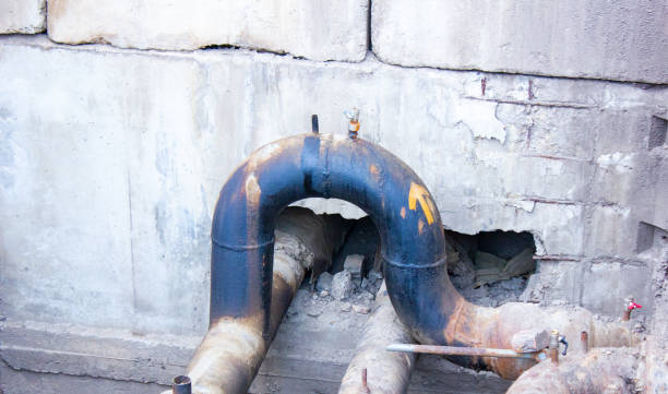 Best Professional water damage repair  in Slater Marietta, SC